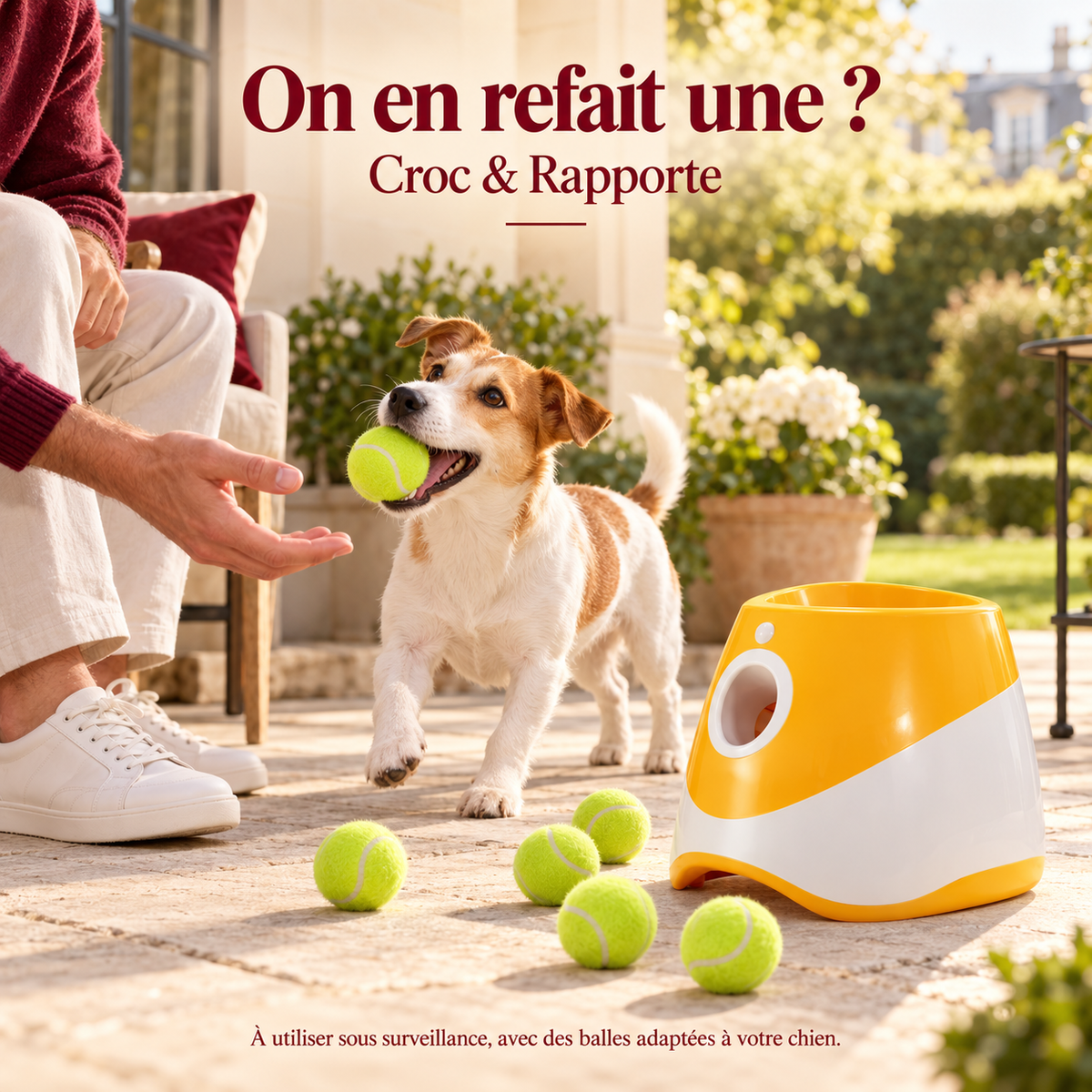 Croc & Rapporte — Le lanceur automatique de balles pour chien