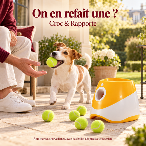 Croc & Rapporte — Le lanceur automatique de balles pour chien