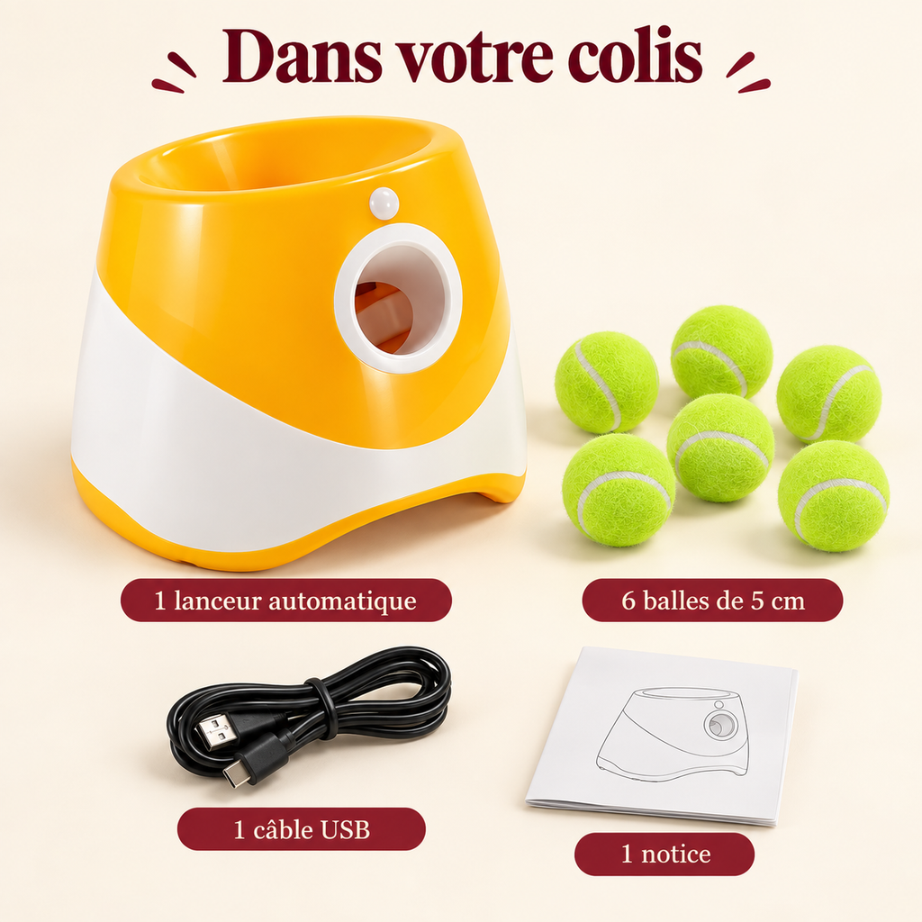 Croc & Rapporte — Le lanceur automatique de balles pour chien
