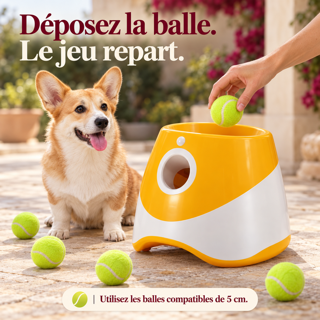 Croc & Rapporte — Le lanceur automatique de balles pour chien