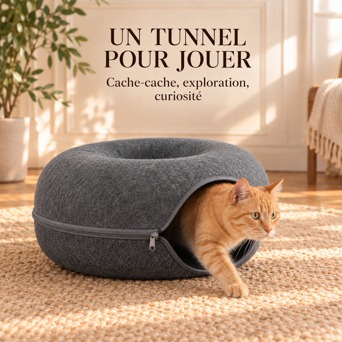 Le Donut Douillet – Lit tunnel 2-en-1 pour chat