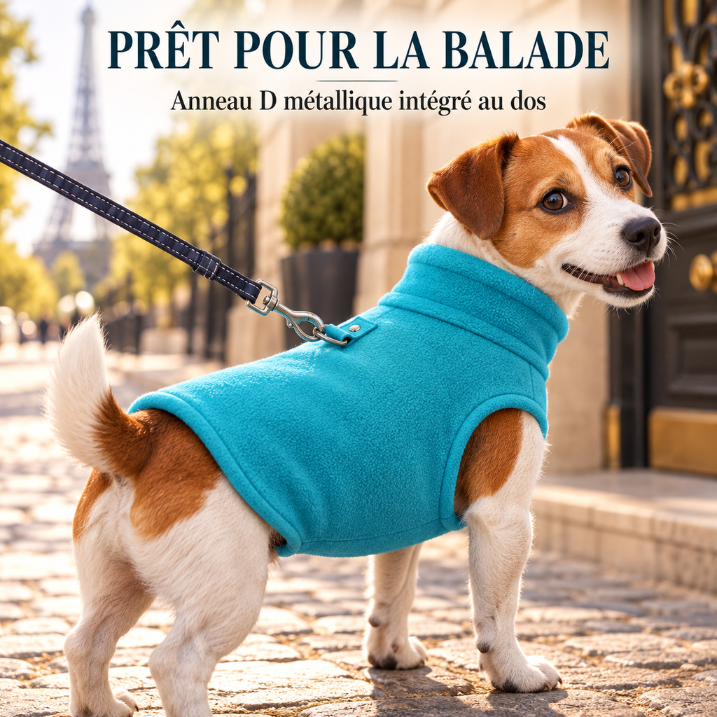 Croc’Polaire – Gilet polaire chaud pour petit chien avec anneau