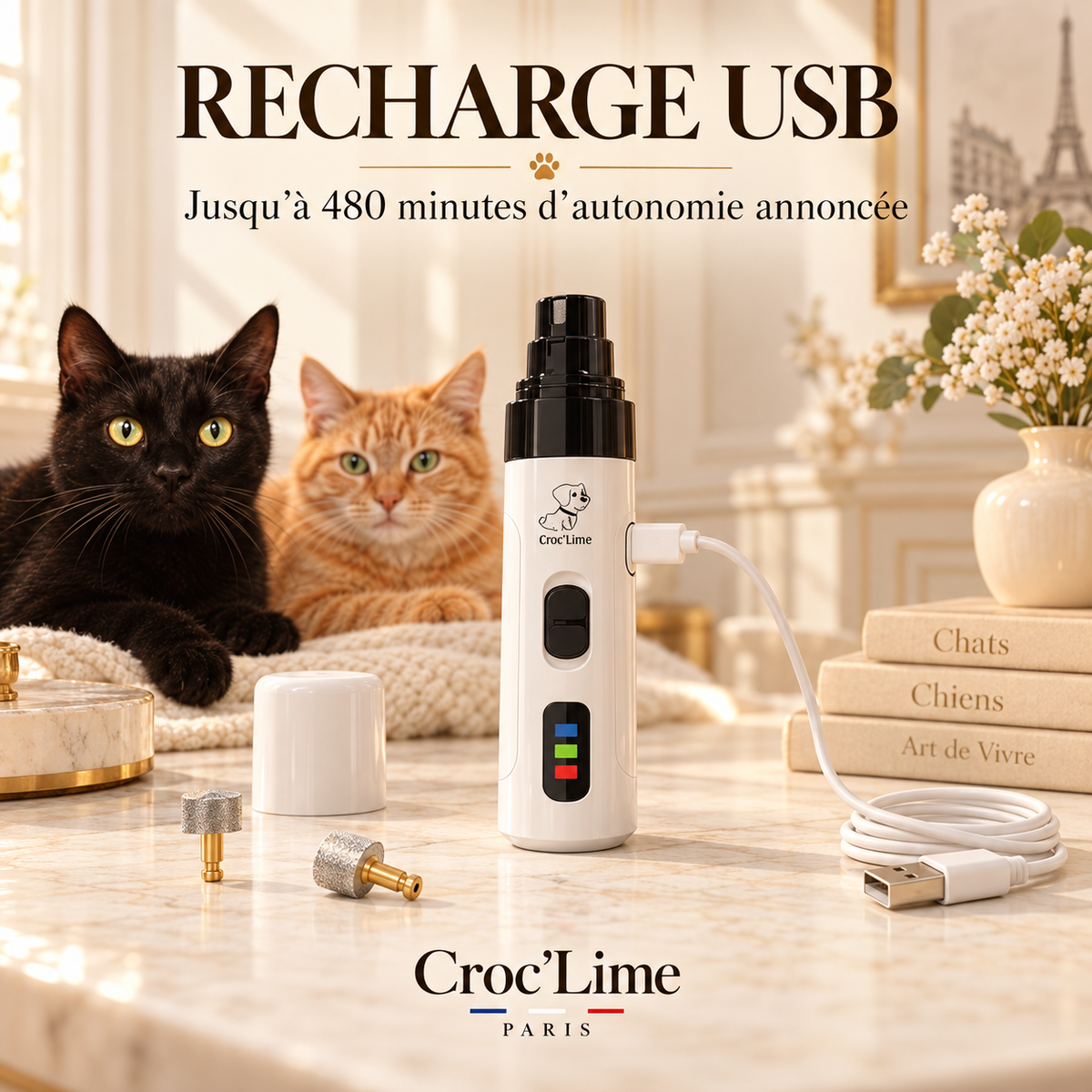 Croc’Lime – Lime électrique rechargeable pour griffes de chien et chat