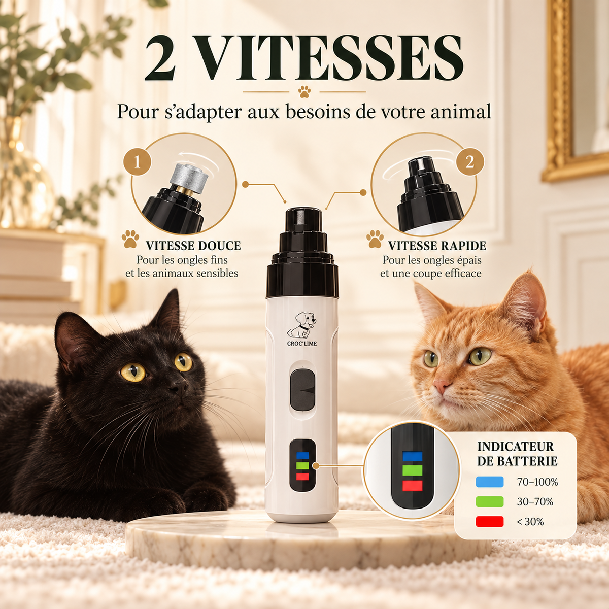 Croc’Lime – Lime électrique rechargeable pour griffes de chien et chat