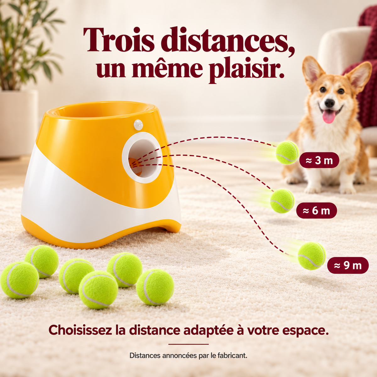Croc & Rapporte — Le lanceur automatique de balles pour chien