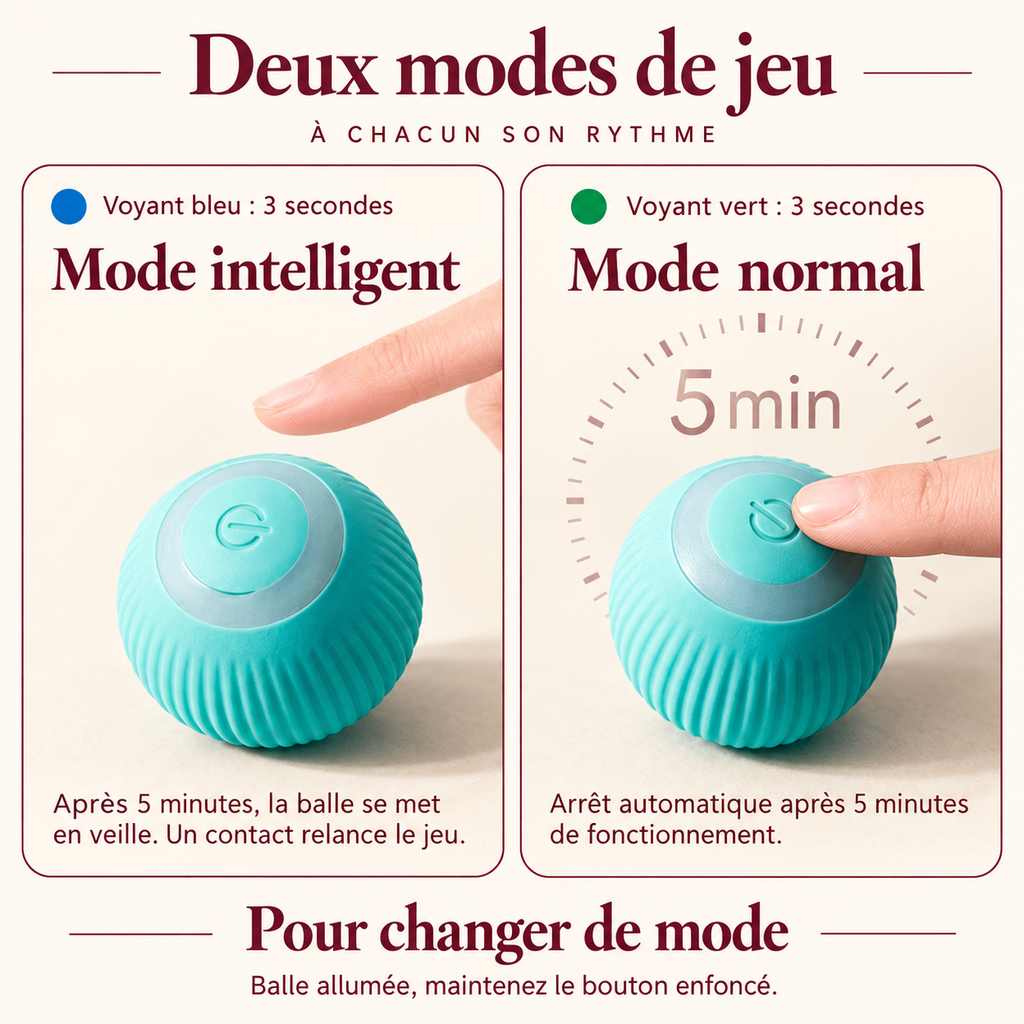 La Balle Folle - Balle Interactive pour Chat